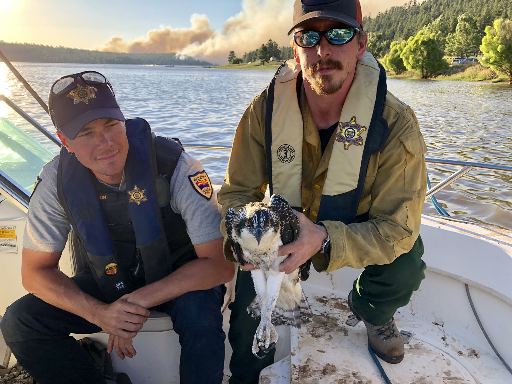 Safe From the Fire